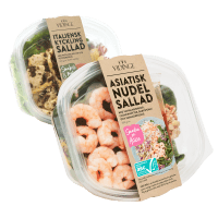 Illustration av Asiatisk Nudelsallad/Italiensk sallad