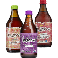 Illustration av Kombucha
