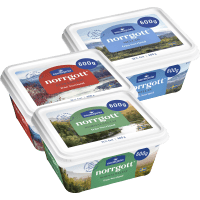 Illustration av Norrgott