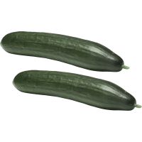 Illustration av Svensk gurka