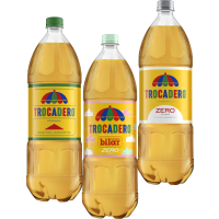 Illustration av Trocadero