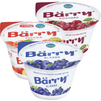 Illustration av Bärry