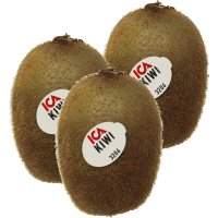 Illustration av Stor grön kiwi