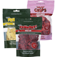 Illustration av Frystorkad frukt snacks