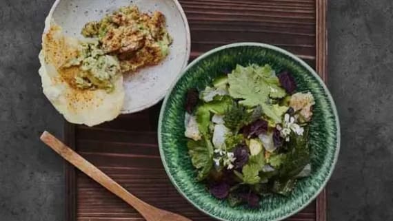 Torskceviche med avokadokräm