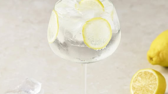 Gin och tonic