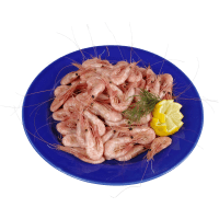 Illustration av Färska räkor