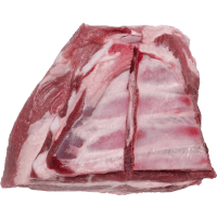 Illustration av Tjocka revben