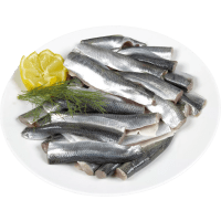 Illustration av Färsk strömming