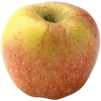 Illustration av Äpple aroma