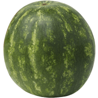 Illustration av Vattenmelon Mini ca 1,95kg Klass 1 ICA