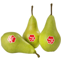 Illustration av Päron Migo