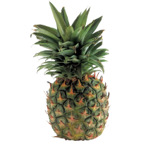 Illustration av Extra söt ananas