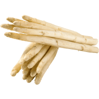 Illustration av Vit sparris