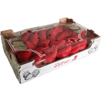 Illustration av Jordgubbar i låda