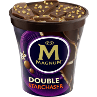 Illustration av Double Starchaser