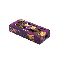 Illustration av Physalis