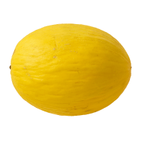 Illustration av Honungsmeloner