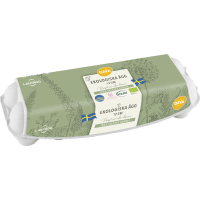 Illustration av Ägg Eko Familjens S/M