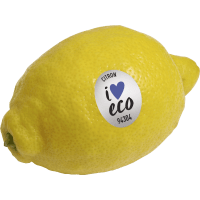 Illustration av EKO Citron