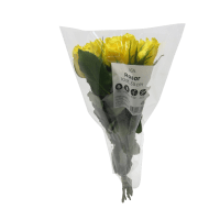 Illustration av Rosor 35 cm gula