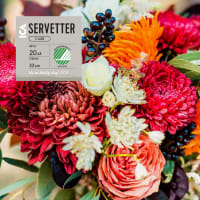 Illustration av Servetter 33 cm
