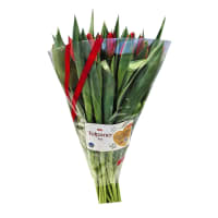 Illustration av Tulpaner 18 pack