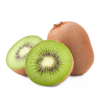 Illustration av Stor grön kiwi