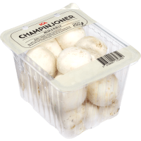 Illustration av Champinjon Klass 1