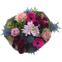 Illustration av BukFarsdag komp XL