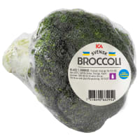 Illustration av Broccoli filmad