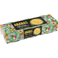Illustration av Ananas krossad