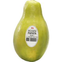 Illustration av Papaya