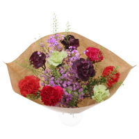 Illustration av Bukett Vibra x6