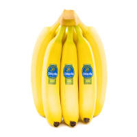 Illustration av Banan Eko