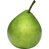 Illustration av Päron Svenska