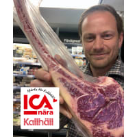 Illustration av Lokal Tomahawk från färingsö