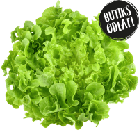 Illustration av Sallad & basilika butiksodlad