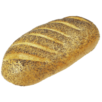 Illustration av Långfranska