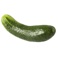 Illustration av Gurka inläggning