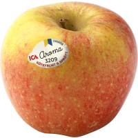 Illustration av Äpple Aroma Svensk