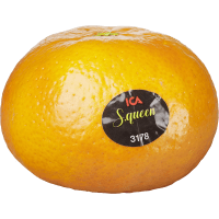 Illustration av Satsumas