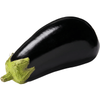 Illustration av Aubergine