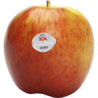 Illustration av Äpple Jazz ca 230g Klass 1