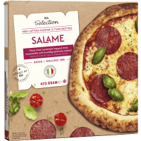 Illustration av Pizza salami / formaggi