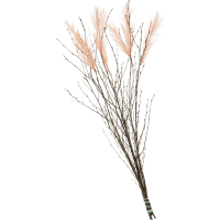 Illustration av Påskris+konfjädr