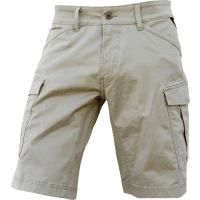 Illustration av Cargoshorts