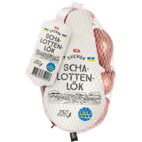 Illustration av Schalottenlök