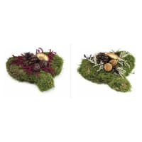 Illustration av Gravhjärta SE mix x6