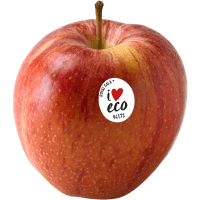 Illustration av Äpple Royal Gala eko